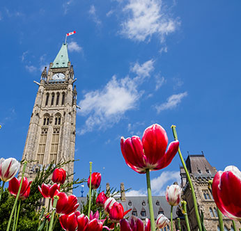 September 24-28, 2018* - OMG Technical Meeting - Ottawa, Canada