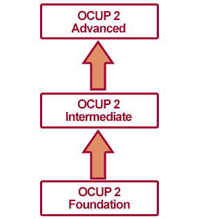 OCUP 2 Structure